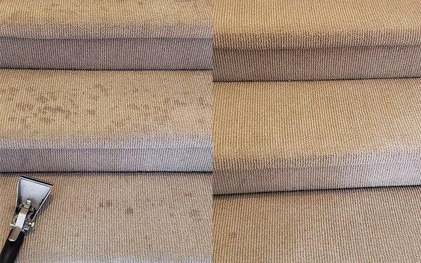 Carpet Cleaning Before and After by Citrus Advanced