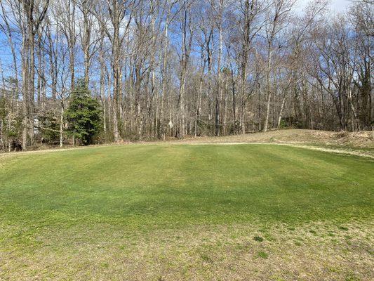 #6 Green filling in nicely. 3.17.20