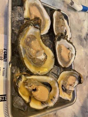 Oysters on the half shell