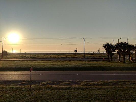 From the balcony: Good morning! Short walk to the Bay.