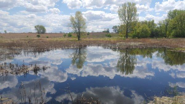 Spring reflection at Upper Pond