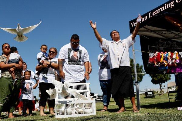 White Doves at Funeral 7l4 622-4095