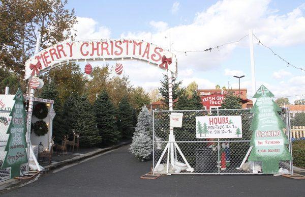 The entrance to our Christmas Tree Forest.