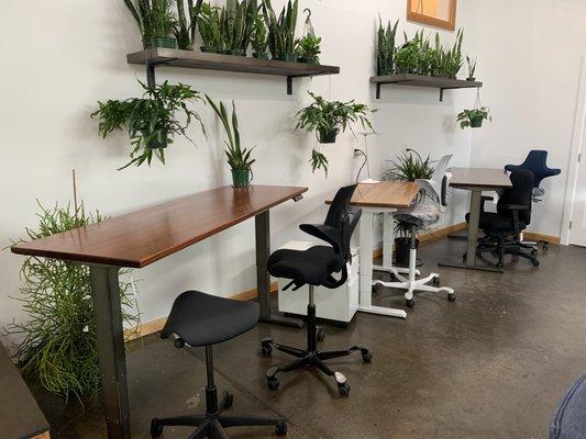 Close ups of our sit stand desk, with HAG Capisco office chairs and plants from Little Roots PDX.