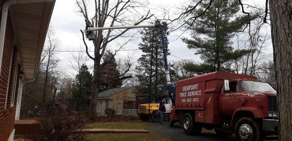 Forestry  trucks for quick response  time and removal