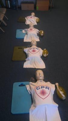 BLS class adult manikins