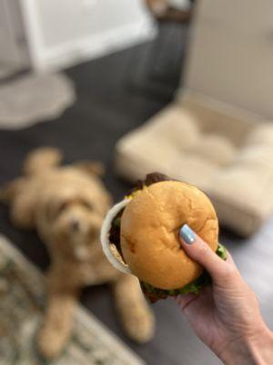 Classic Simple Burger with jalepenos added