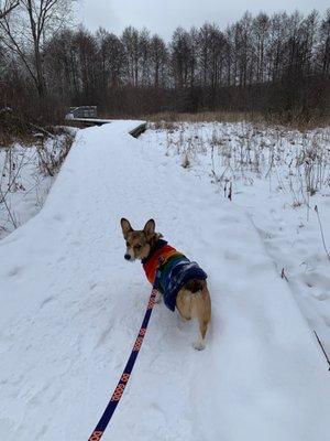 My dog at Gallup Park!