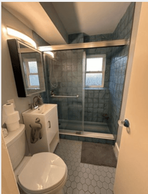 Ace Handyman Services St. Pete bathroom