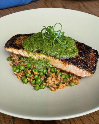 Seared blackened salmon entree