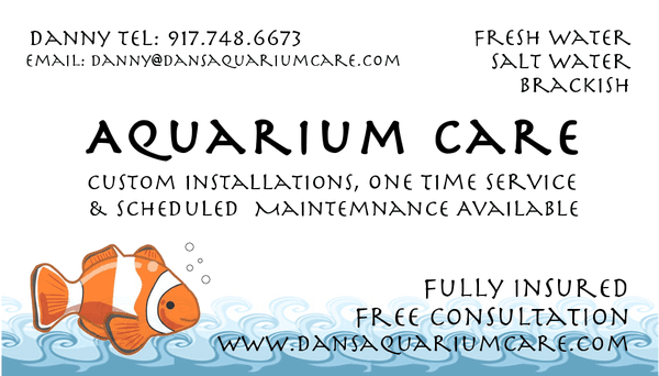 Aquarium Care Aquarium Installation & Cleaning Service