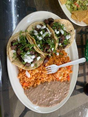 Carne asada corn tortilla,