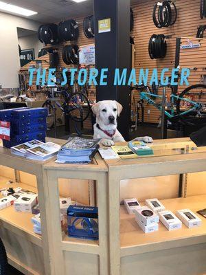 The "Store Manager"