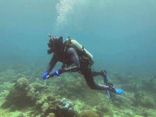 Diving and getting to see the beautiful sea floor in the Philippines