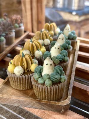 Mini Succulent Cupcakes