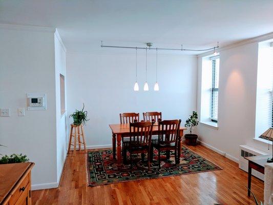 Brooklyn Prospect Park Apartment Turn Over Painting