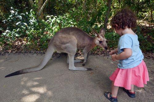 Family Vacations to Australia, planned by experts