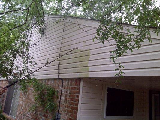 Siding Pressure Washing