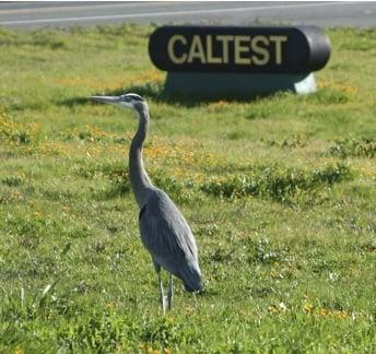 Caltest Analytical Laboratory