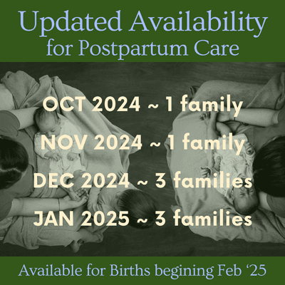 NOW BOOKING for Birth Clients due Feb 2025 and beyond || Check most recent social media posts for updated postpartum availability.