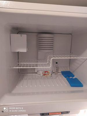 Refrigerator after cleaning