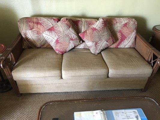 On sale sleeper sofas ask for Sr. And get it for only 99.00