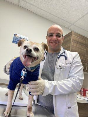 Dr. Mike Yousef is treating my Roxie for upper respiratory infection. You can see how much he adored Roxie.