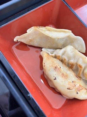 The gyoza was dripping with oil.