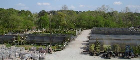 Buck Jones Nursery