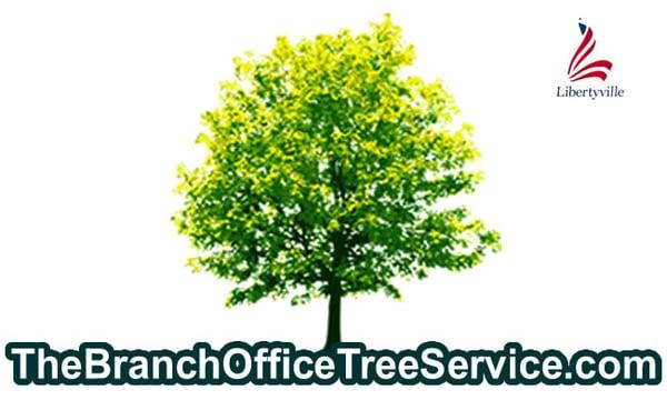 The Branch Office Tree Service