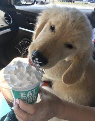 dog friendly drive thru!