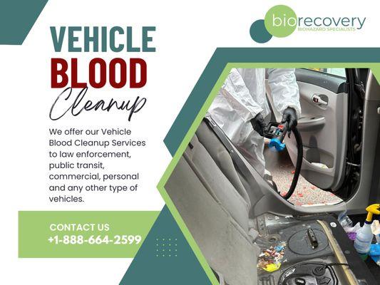 Vehicle Blood Cleanup