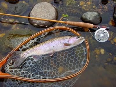 Alpenglowflyrods.com
Leo just sold one of my split cane rods, I just deliverd another for sale. Its a sweet 4 piece traveler!