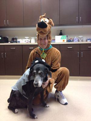 Dr. Loftus with Nixon our therapy dog (now deceased) on Halloween. Which doggie is which?