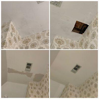 Residential Painting and ceiling repair