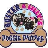 Buster & Lilly's Doggie Daycare logo