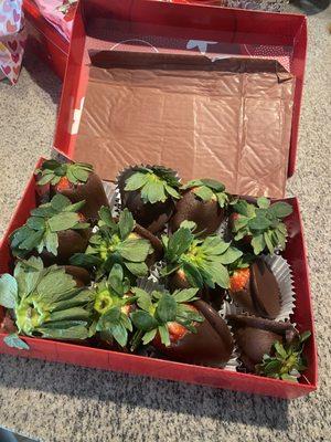 Edible Arrangements