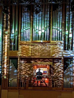 Impressive Lay Organ