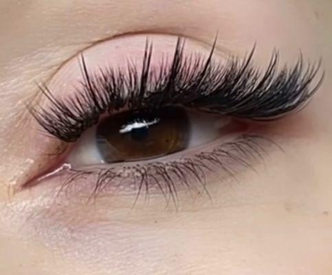 Lash extension