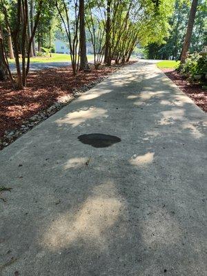 The oil spilled in my sister's driveway after parking there for just three hours (does that look like its from a small crack in a gasket?)