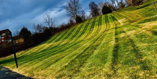 Mowing