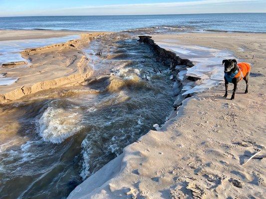 Point Beach State Forest