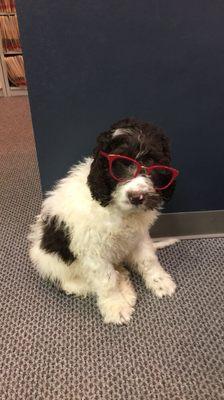 Duke looks so stylish in his red Bobbi Browns.