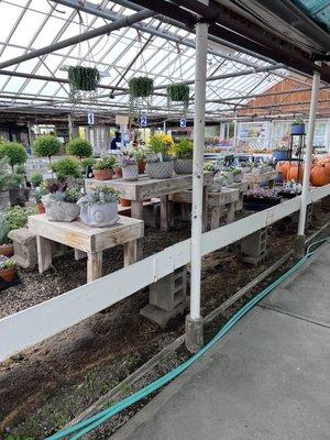 Interior of greenhouse