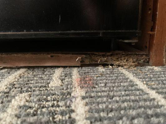 Rotted refrigerator cabinet. Stained carpet