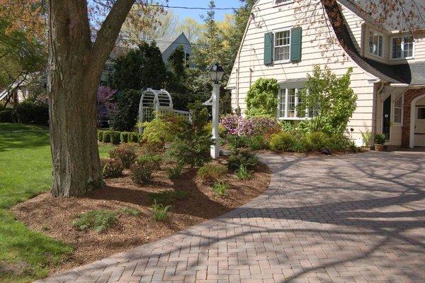 Landscape Plantings