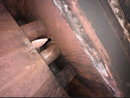 Chimney's smoke chamber (bottom - just below vents) shows corrosion - but likely not compromising the integrity of the fire place.