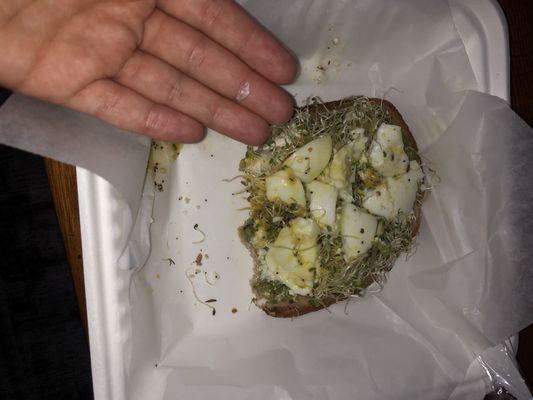 Avocado toast with piece of plastic found