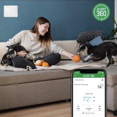 Alert360 helps protect your furry children!