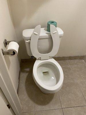 Toilet loose and crooked